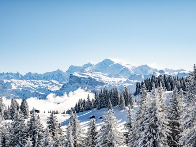 2022 01 10 Panorama Station Fir Tree Snow Mont Blanc Les Gets Laurabureaudsc04696 Ld