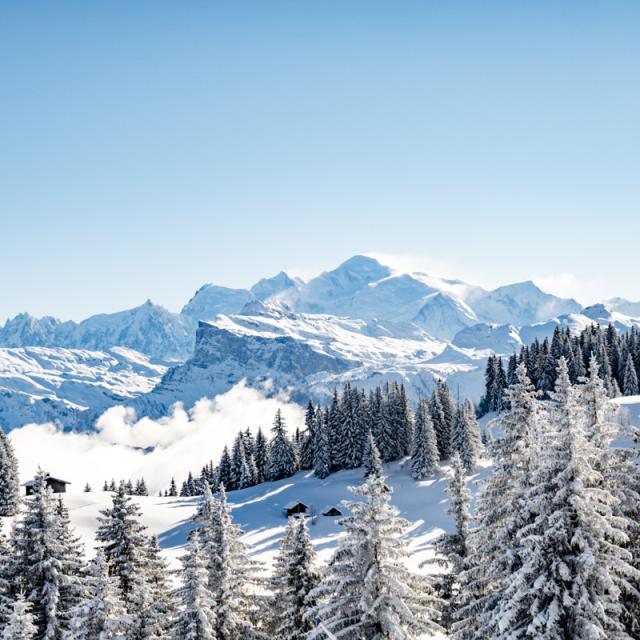 2022 01 10 Panorama Station Sapin Enneige Mont Blanc Les Gets Laurabureaudsc04696 Ld