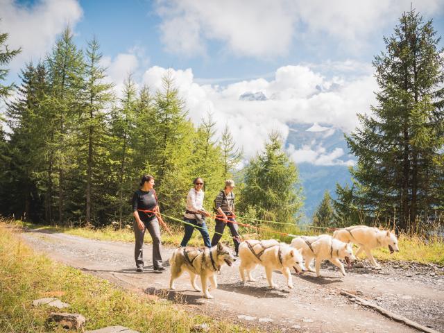 Activites Evenements