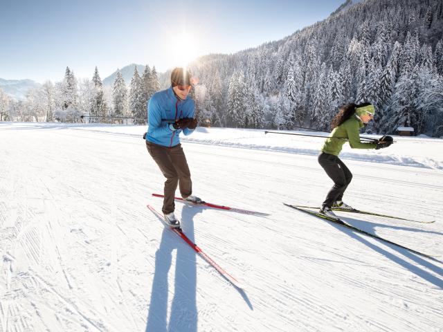 Dsc1516 Litescape Media