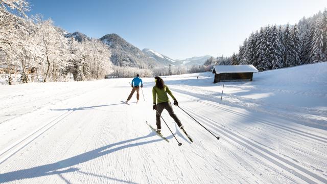 Dsc1646 Litescape Media