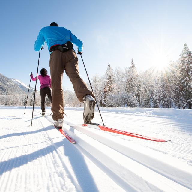 Dsc2049 Litescape Media