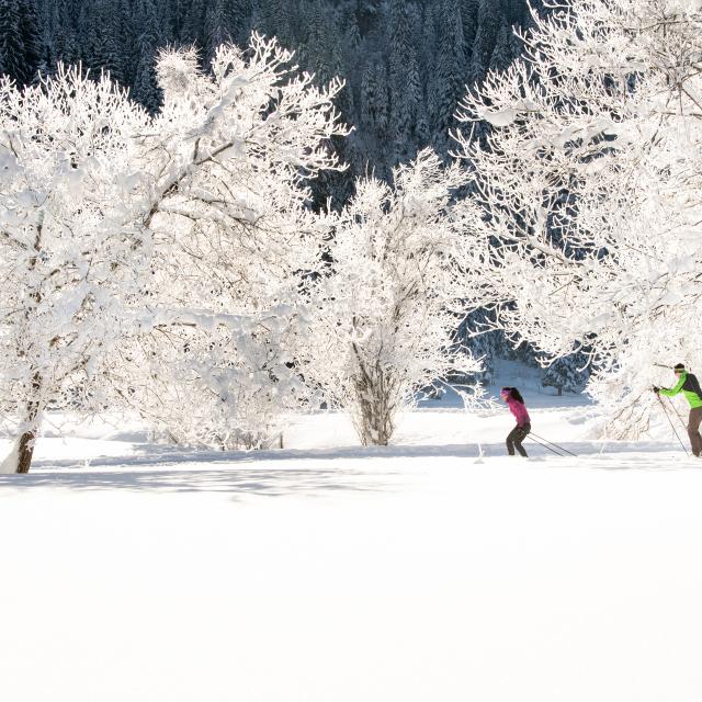 Dsc2173 Litescape Media