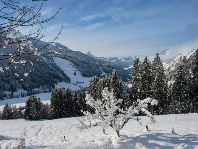 Village La Chapelle D Abondance Copyright Gilles Lansard (4)