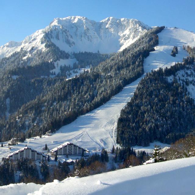 Fond Page Station Torgon