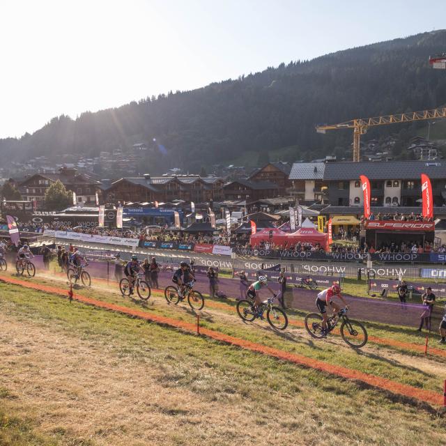 Xccdenis Angheben Sonnentüren