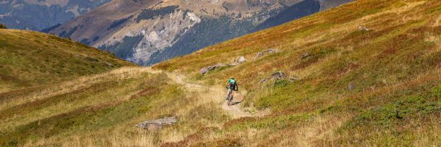 Xcmdenis Angheben Sonnentüren 76