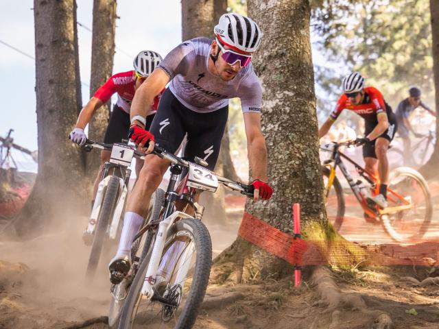 Xco Mdenis Angheben Sonnenblendentüren 43