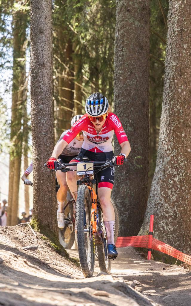 Xco Wdenis Angheben Sonnenblendentüren 40