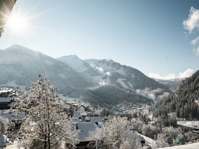 Chatel En Hiver L.meyer Chatel 4 1