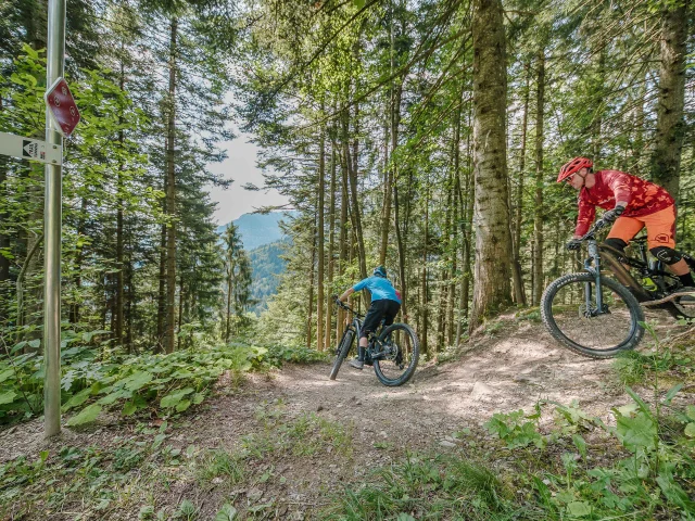 Sylvain Cochard 20200728 Syl 4801 Hd