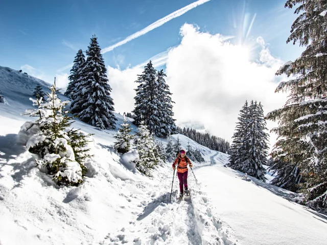 Snowshoe outingl.meyer Chatel