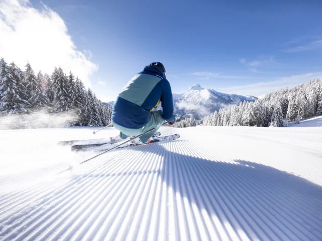 Photographs of skiing and landscapes in the Braitaz, La Chapelle d'Abondance area (Portes du Soleil, Vallée d'Abondance). Snow-covered Mont Grange, fir trees under the snow, First Track atmosphere with immaculate pistes.