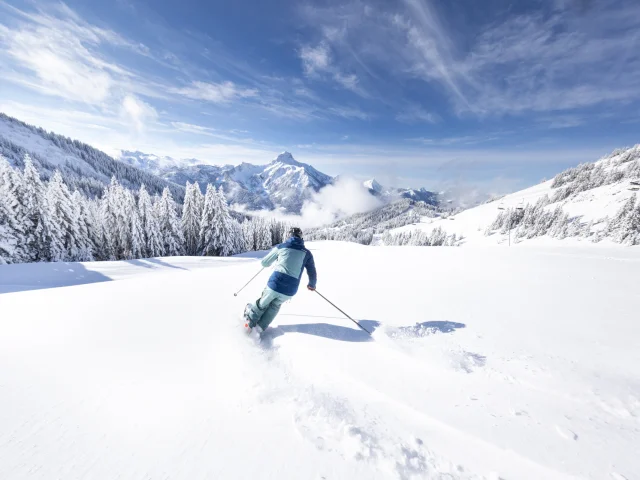 Photographs of skiing and landscapes in the Braitaz, La Chapelle d'Abondance area (Portes du Soleil, Vallée d'Abondance). Snow-covered Mont Grange, fir trees under the snow, First Track atmosphere with immaculate pistes.