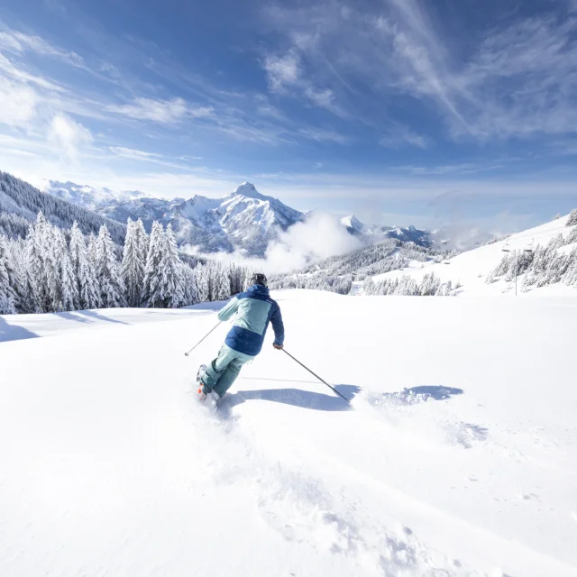 Ski- und Landschaftsfotografien aus der Gegend von Braitaz, La Chapelle d'Abondance (Portes du Soleil, Vallée d'Abondance). Verschneiter Mont Grange, Tannen unter Schnee, First-Track-Atmosphäre mit makellosen Pisten.