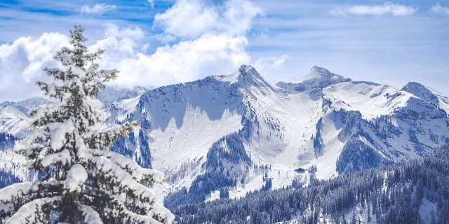 Sylvain Cochard 20230315 R5i 5482 Web