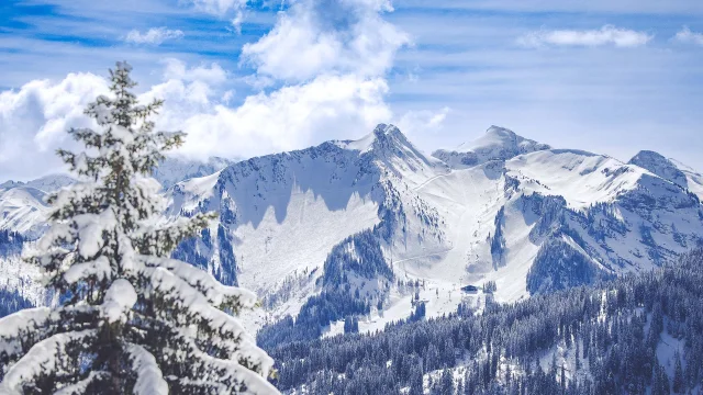 Sylvain Cochard 20230315 R5i 5482 Web