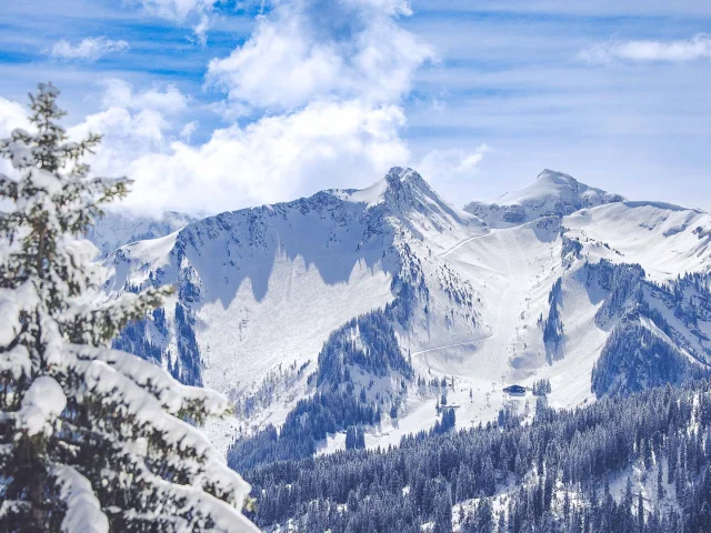 Sylvain Cochard 20230315 R5i 5482 Web